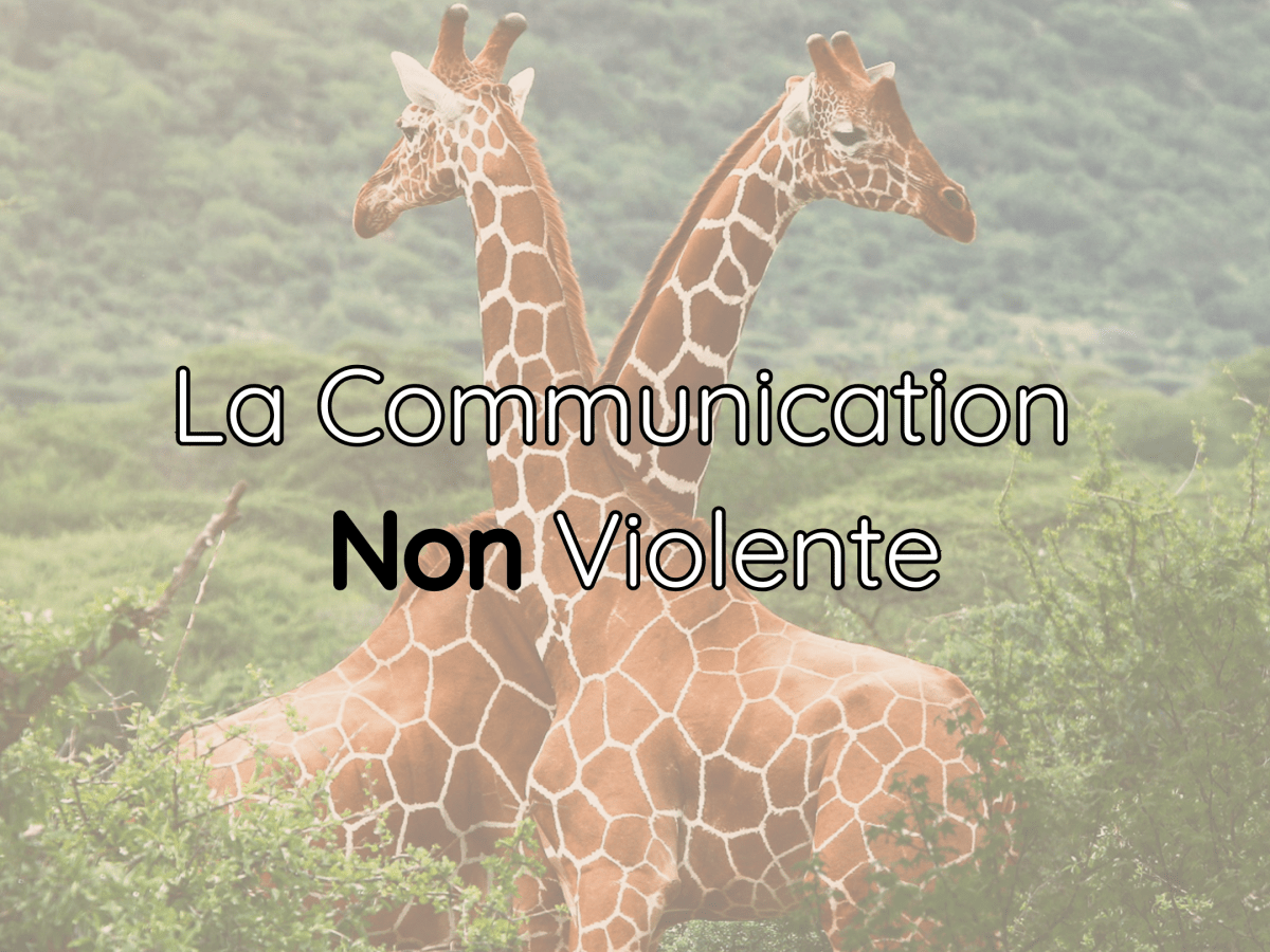 La Communication Non Violente (CNV) – un outil indispensable avec et pour les&nbsp;enfants
