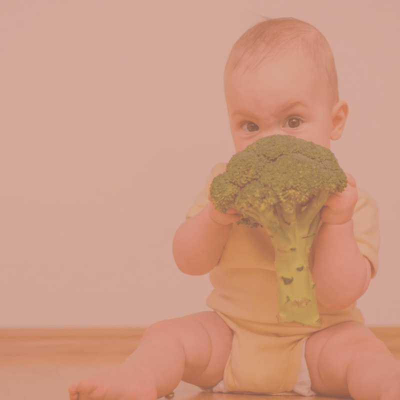La néophobie alimentaire